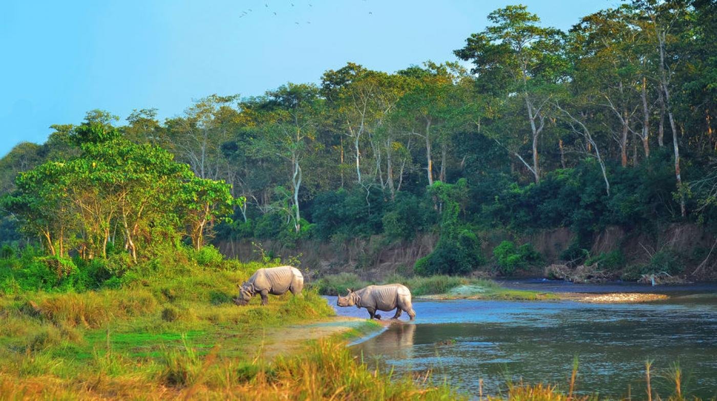 Holiday Trip Assam - Tour