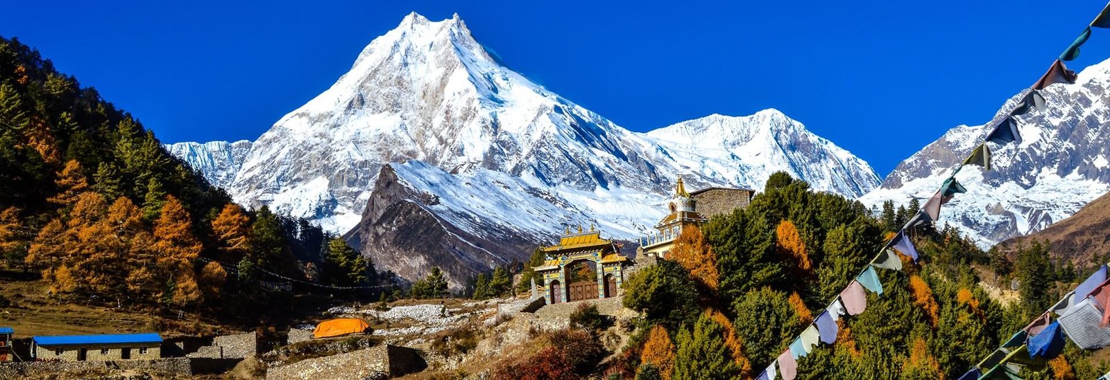 Sikkim Treks & Expeditions - Collection